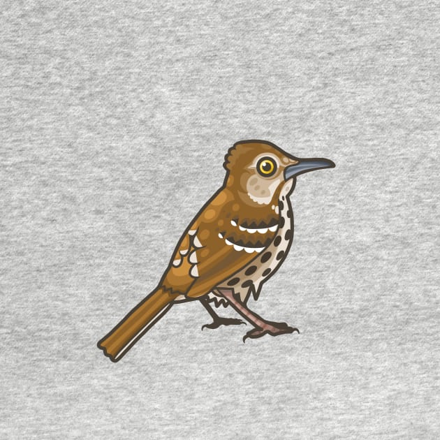 Brown Thrasher by Ginboy